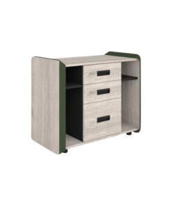 שלוחה - דגם קול