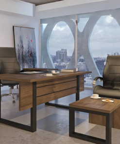 מערכת מנהלים - דגם פירמיטו