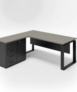 מערכת מנהל - דגם רועי כולל שלוחה ודלת