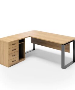 מערכת מנהל - דגם רועי כולל שלוחה ותא לכונן