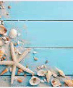 פלטה וורצליט - תכלת צדפים