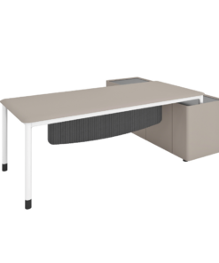 מערכת מנהלים - דגם סלפי 1 עם שלוחת כוננית רתומה